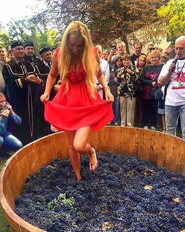 0cf9e8fba21bfce117af96fa524cb088