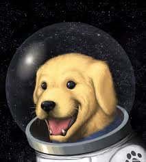 %D0%91%D0%B5%D0%B7%20%D0%BD%D0%B0%D0%B7%D0%B2%D0%B0%D0%BD%D0%B8%D1%8F%20(2)