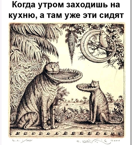 FB_IMG_16274027265066638