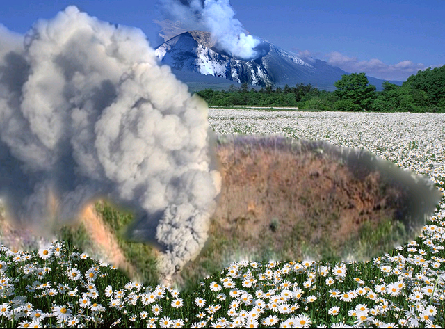 Screenshot_20210307-081852~2