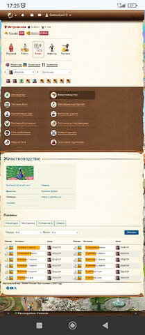 Screenshot_2026-03-31-17-25-51-851_com.android.chrome