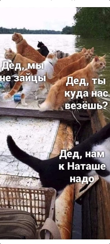 FB_IMG_1629967425767