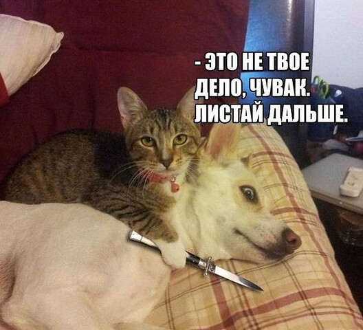 1000000887