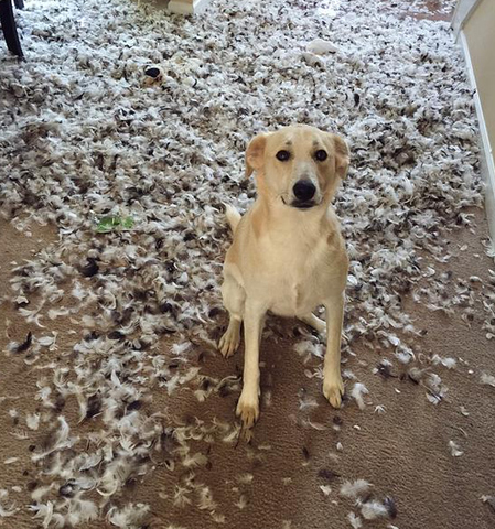 Screenshot_20210227-210556~2