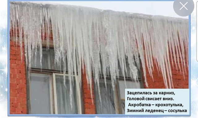 Screenshot_20251230-141839_Yandex Start