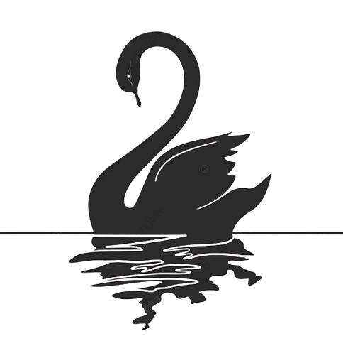 blackswan-removebg-preview