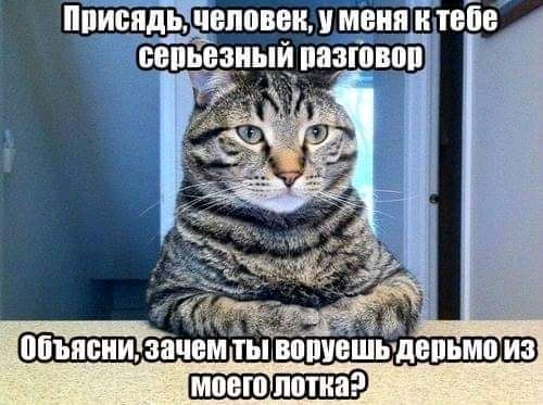 FB_IMG_16273632257064753